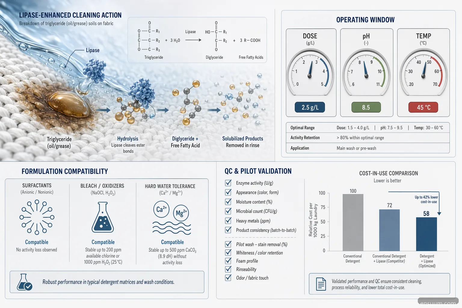 lipase enzyme in detergent troubleshooting infographic with dose, pH, temperature, compatibility, and QC cues